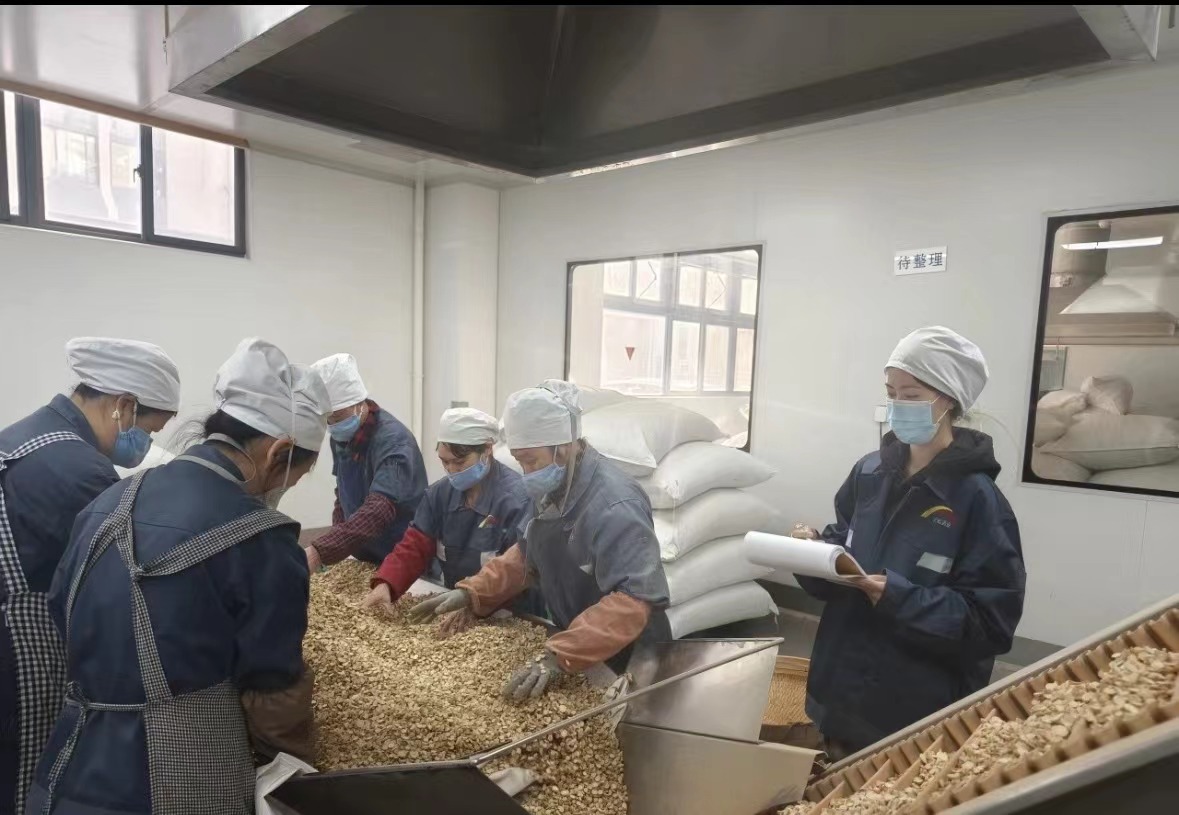 Kingdao Biohoer Biotech Co., Ltd. официјално започна со изградба