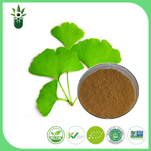 Кои симптоми можат да се користат екстракт од лисја на Ginkgo Biloba за да се ублажат?